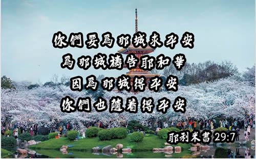 1586848644282386.jpg _2572(20200414-150219).jpg